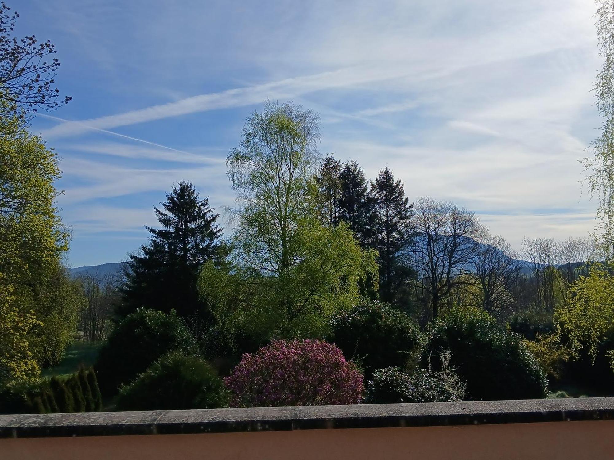 L'oree Des Roches 3* Saales
